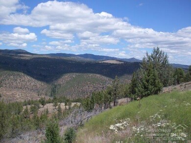 0 Shop Gulch unit 201804724, Mount Vernon, OR 97865 - photo 7