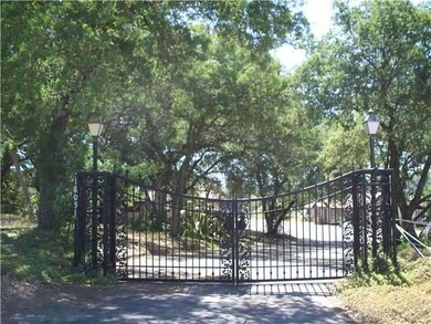 Decorative rod iron gate