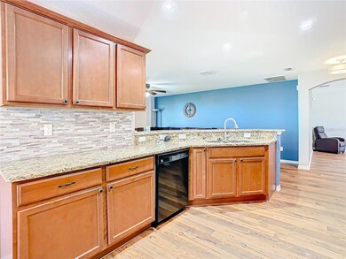 14306 Haddon Mist Dr, Wimauma, FL 33598 - photo 4