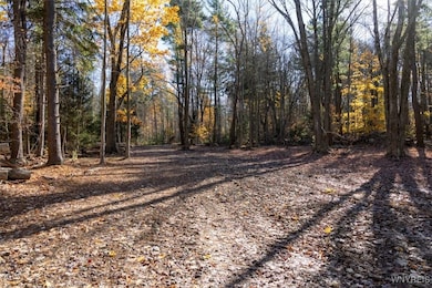 9881+9937 Larkin Rd, Eden, NY 14057 - photo 2