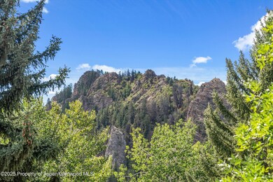 500 W Francis St unit Main House, Aspen, CO 81611 - photo 7