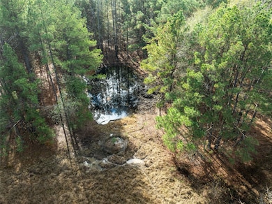 00 County Road 2237, Bagwell, TX 75426 - photo 6