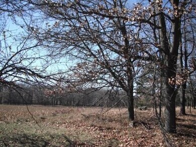 N8703 County Road H, Camp Douglas, WI 54618 - photo 7