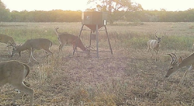 County Road 171, Sandia, TX 78383 - photo 2