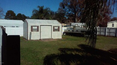 Shed and back yard