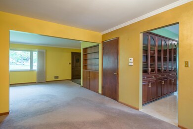 Layout