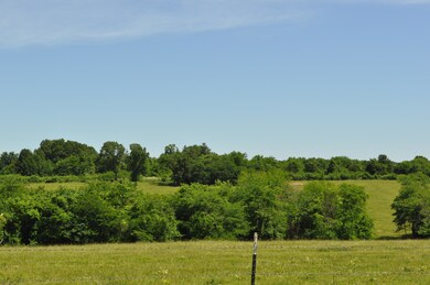 DSC_0006