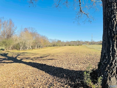 627 Neel School Rd, Danville, AL 35619 - photo 6