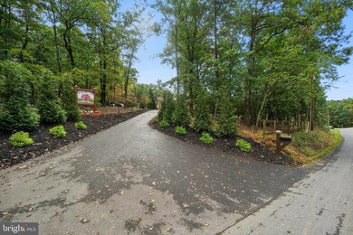 1802 Chestnut Grove Rd, Winchester, VA 22603 - photo 2