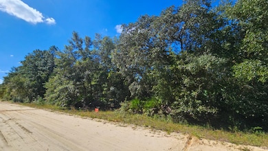 0 Neilsen Ave unit 25581217, Interlachen, FL 32148 - photo 3