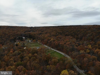 481 Hazle St, Quakake, PA 18245 - photo 7