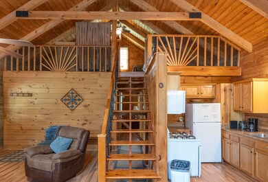 483 Mallard Rd, Hico, WV 25854 - photo 6