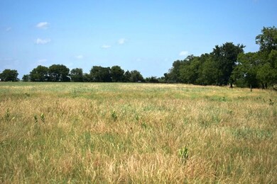 TBD Cr4236, Bonham, TX 75418 - photo 3