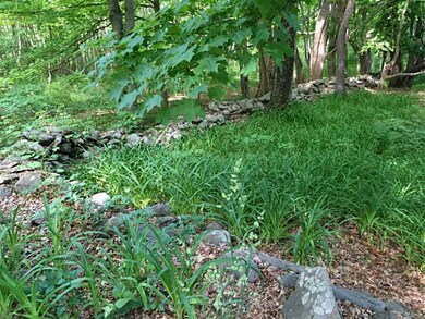 Land/Lot.