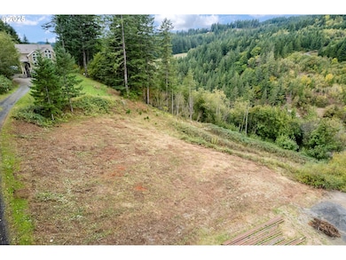 0000 NE 5th St, Washougal, WA 98671 - photo 7