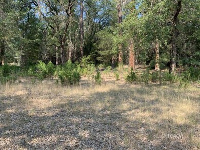 The Land