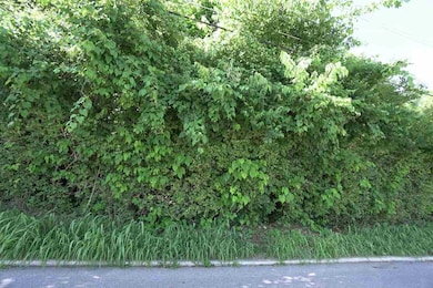 43.5-45.5, Kentucky Dr, Newport, KY 41071 - photo 2