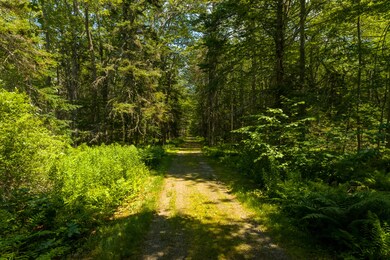 (102)_180 Pemaquid Harbor Rd. (MAPS)