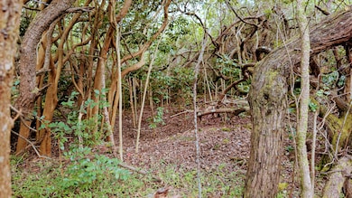 94-6579 Kamaoa Rd, Naalehu, HI 96772 - photo 2