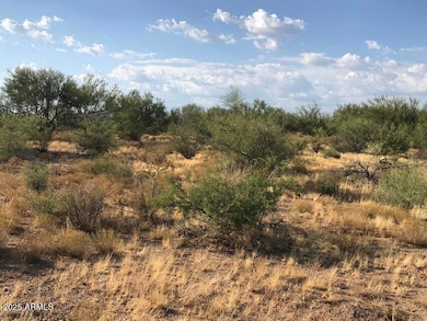 29670 S State Route 89 --, Congress, AZ 85332 - photo 4