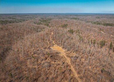 DJI_20240321144131_0173_D