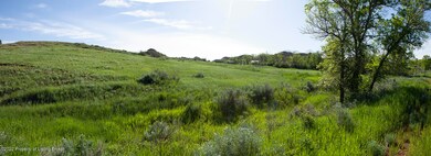 Untitled_Panorama-1 copy