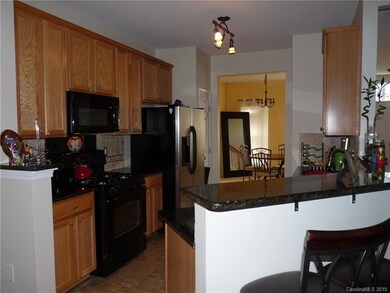 190 Snead Rd, Fort Mill, SC 29715 - photo 2