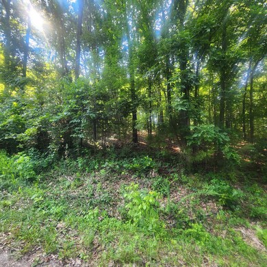 L-25 B-7 Navajo Trace, Cherokee Village, AR 72529 - photo 4