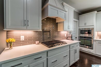 The kitchen is lovely and it has everything; KitchenAide refrigerator, large island with cabinets, under cabinet lighting, farm house sink, pot filler and a walk-in pantry!