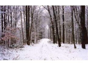 2 Turkey Ridge Rd, Batesville, IN 47006 - photo 4