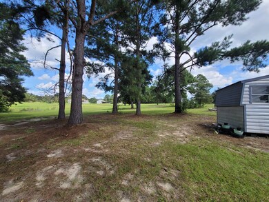 3218 S County Line Rd, Albany, GA 31705 - photo 6