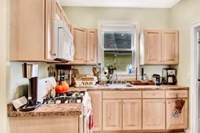 15 Knoll St unit 1, Roslindale, MA 02131 - photo 5