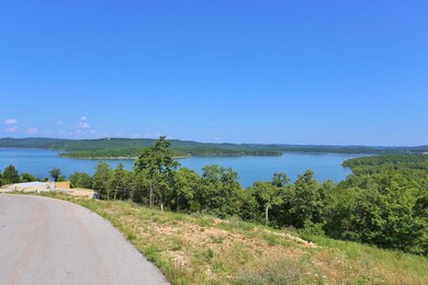 Tract C Bluff Run Dr, Ruth B Rural Township, MO 65686 - photo 2