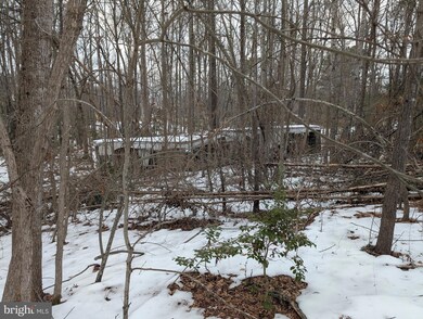 13804 Long Branch Rd, Woodford, VA 22580 - photo 6