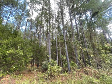 00 Carver Point Rd, Coffeeville, MS 38922 - photo 5