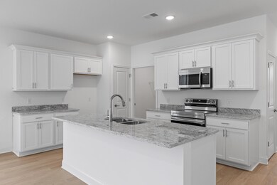 Bluebell Kitchen 4