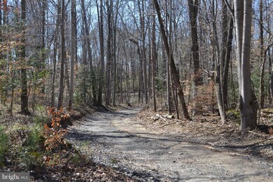 7039 Antler Ln, King George, VA 22485 - photo 7