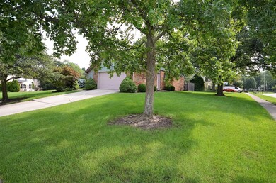 Side yard