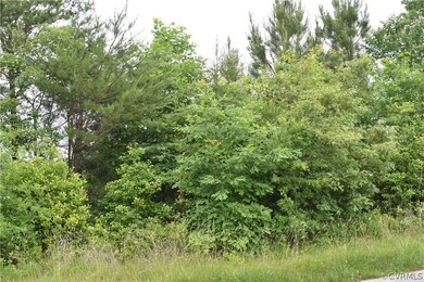 View of nature