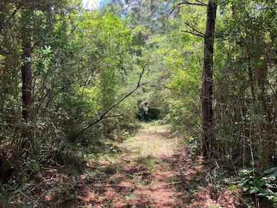 0 Mississippi 48, Tylertown, MS 39667 - photo 3