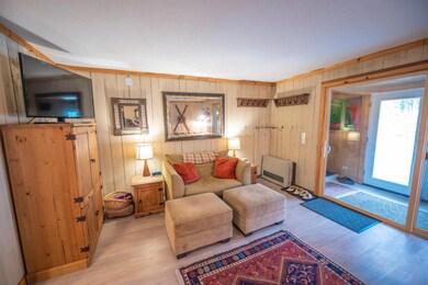 3 Fox Meadow Ln unit 3F, Dover, VT 05356 - photo 2