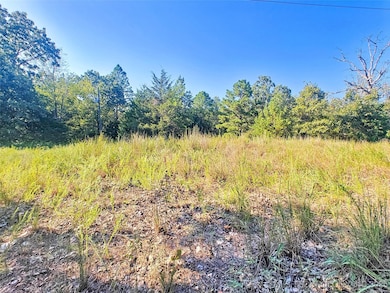 20100 E Horseshoe Bend Rd, Park Hill, OK 74451 - photo 3
