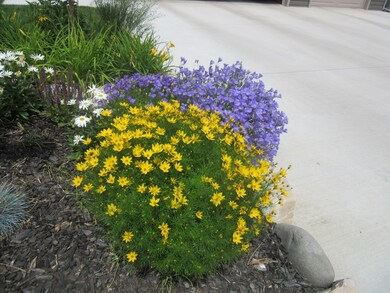 3319 Appalachian Ave, Cody, WY 82414 - photo 6