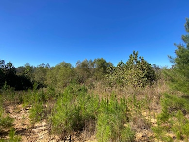 0 Highway 219 unit 11609592, Centreville, AL 35042 - photo 5