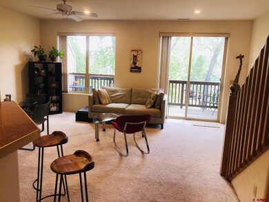 610 El Paso St unit 3, Durango, CO 81301 - photo 5