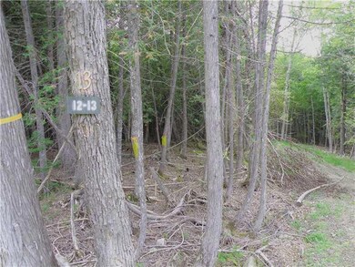 Lot 13 Pullen Rd, Garland, ME 04939 - photo 6