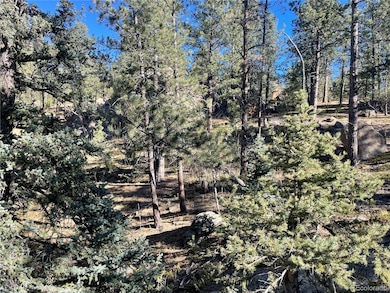 0 Shadow Mountain Dr, Conifer, CO 80433 - photo 3