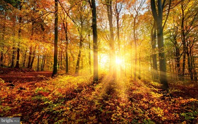 1919 Montevideo Rd, Jessup, MD 20794 - photo 3