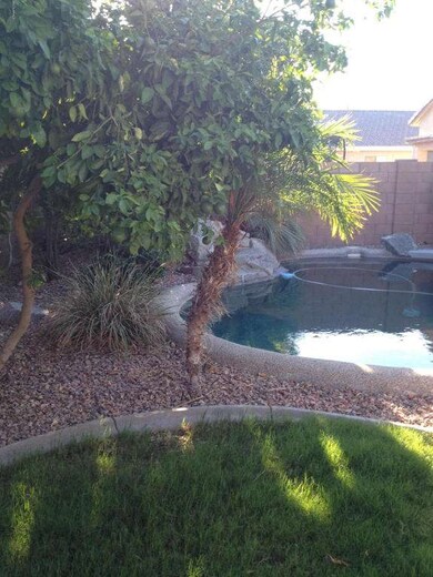 photo 3 (2)