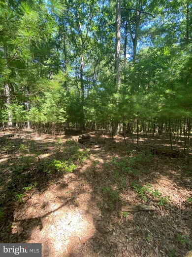 Lots 67 & 68 Tall Tree Dr, Levels, WV 25431 - photo 7